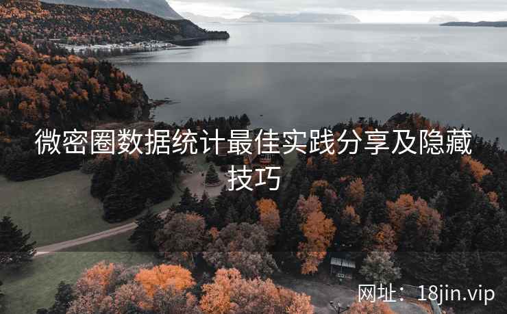 微密圈数据统计最佳实践分享及隐藏技巧