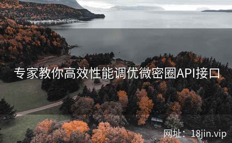 专家教你高效性能调优微密圈API接口
