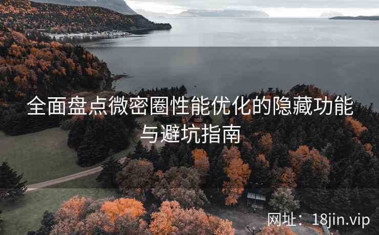 全面盘点微密圈性能优化的隐藏功能与避坑指南