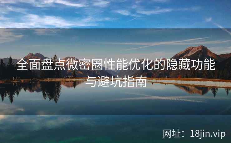 全面盘点微密圈性能优化的隐藏功能与避坑指南
